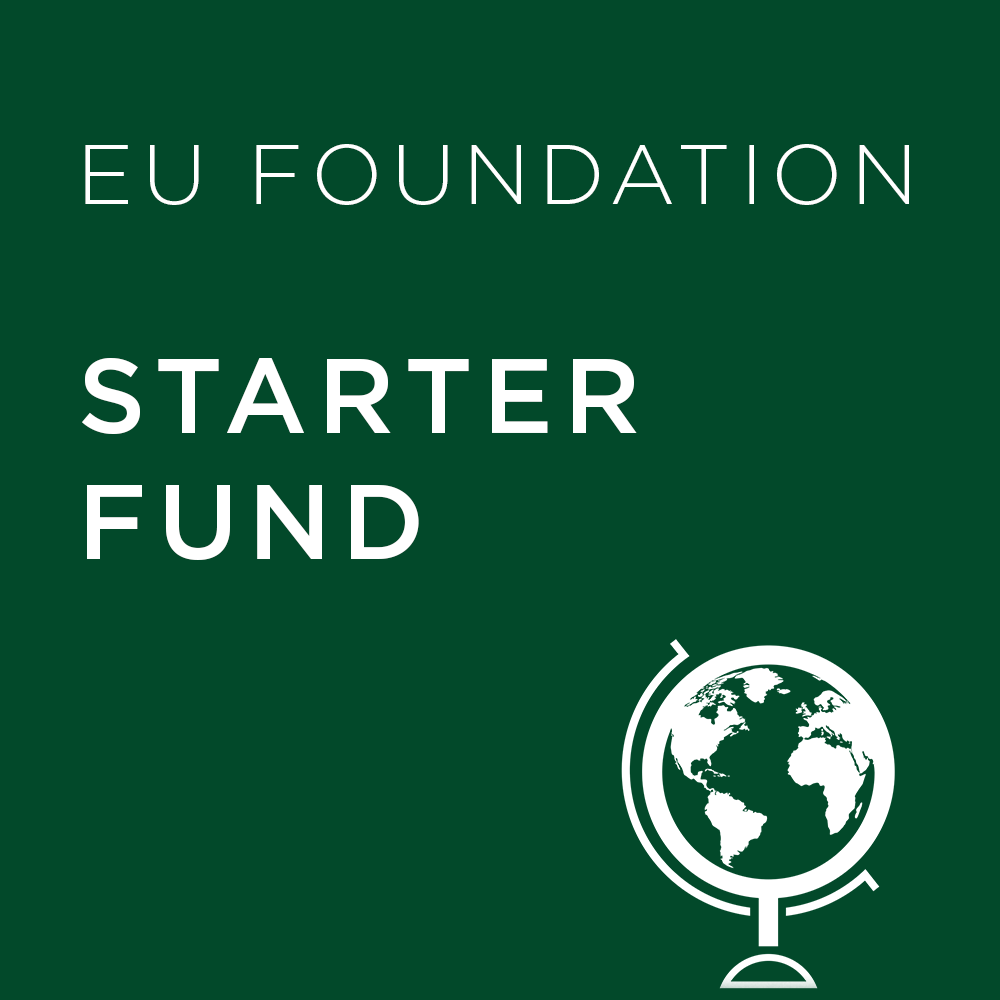 Dark green background with 'EU Foundation Basic Fund' text and a globe icon.