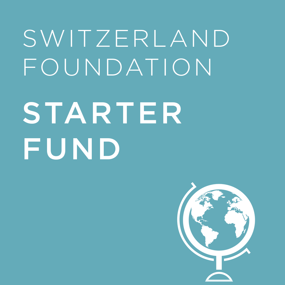 Light blue background with 'Switzerland Foundation Basic Fund' text and a globe icon.