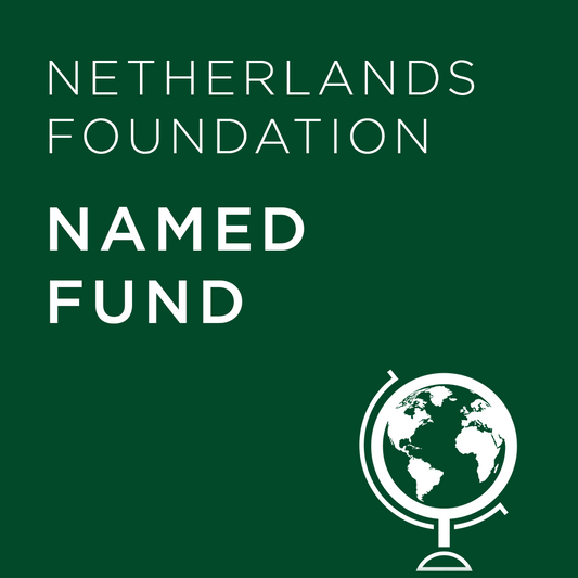 Named Fund - EU Foundation