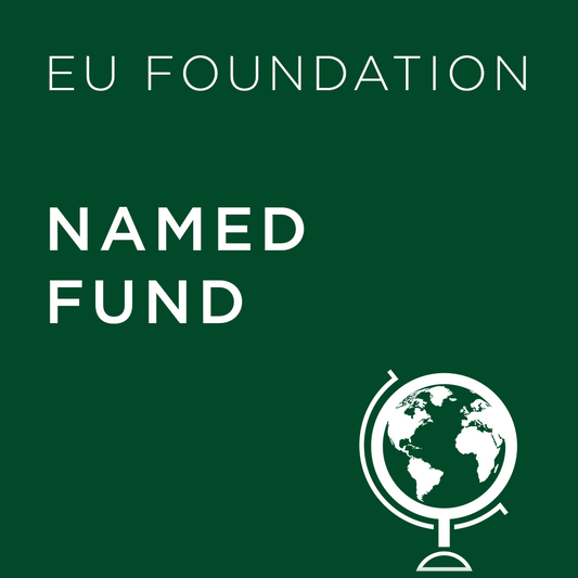 Named Fund - EU Foundation