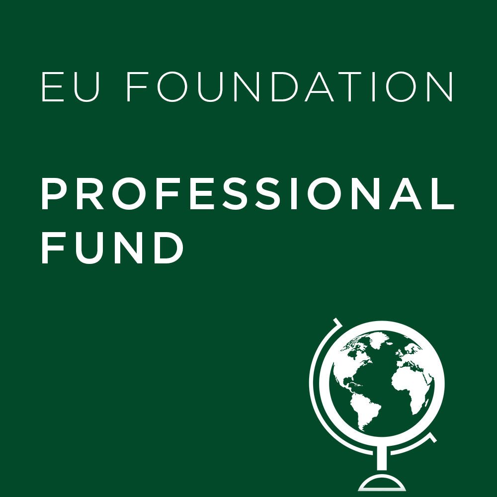 Professional Fund - EU Foundation