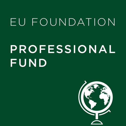 Dark green background with 'EU Foundation Professional Fund' text and a globe icon.