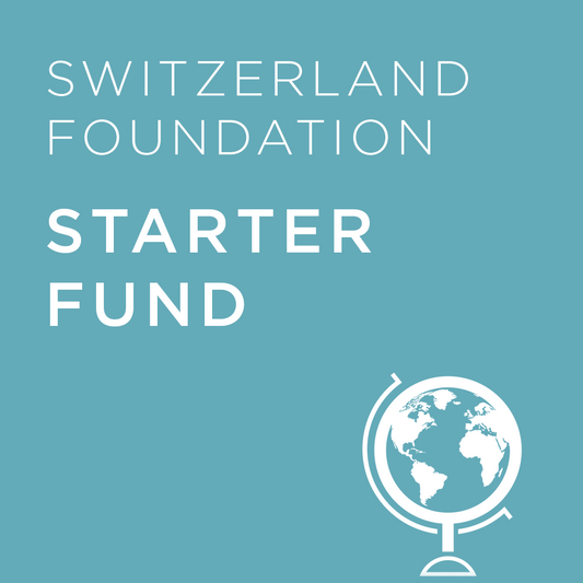 Light blue background with 'Switzerland Foundation Basic Fund' text and a globe icon.