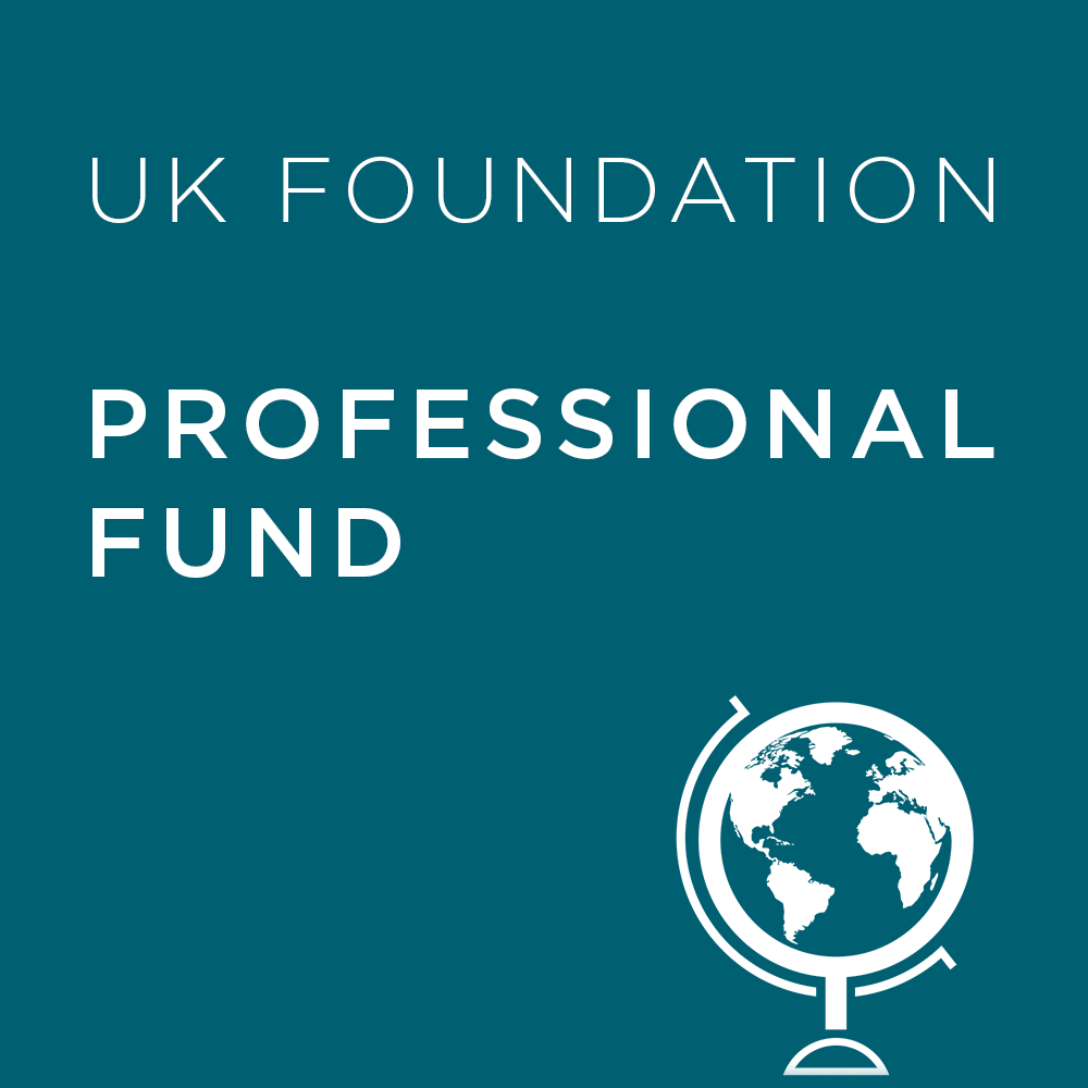 Teal background with 'UK Foundation Professional Fund' text and a globe icon.