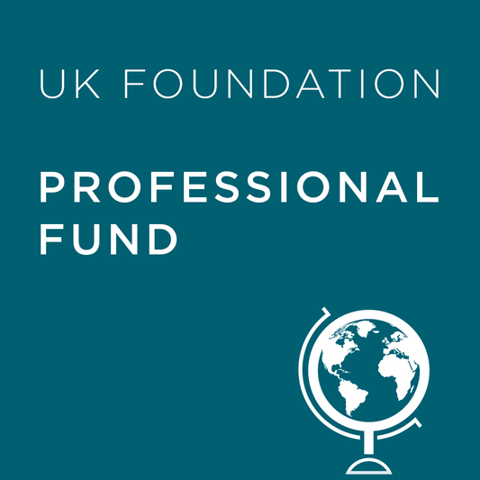 Teal background with 'UK Foundation Professional Fund' text and a globe icon.