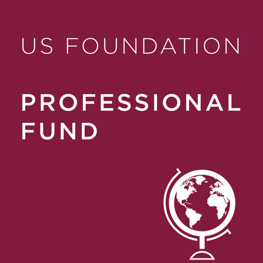Burgundy background with 'US Foundation Professional Fund' text and a globe icon.