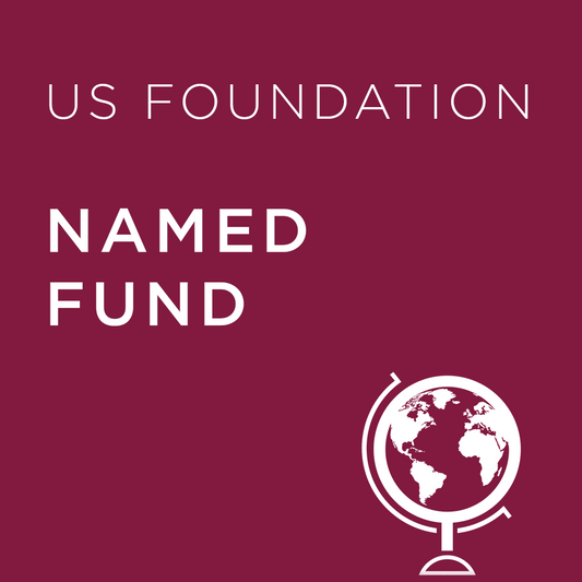 Named Fund - US Foundation
