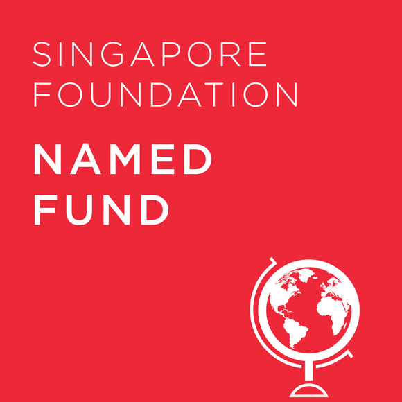 Named Fund - Singapore Foundation