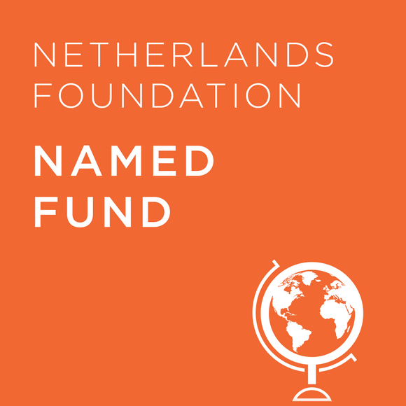 Named Fund - Netherlands Foundation